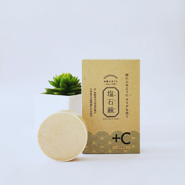 Salt Soap + Catechin bar shown with its packaging behind it, next to a white pot holding a green plant, all set against a white background