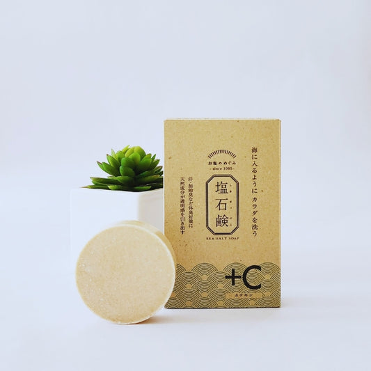 Salt Soap + Catechin bar shown with its packaging behind it, next to a white pot holding a green plant, all set against a white background