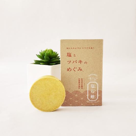 Salt and Camellia Soap placed in front of its box, with a small white pot and green plant on a minimal white background